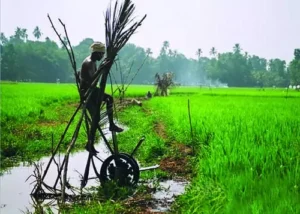 West Bengal Government Bans The Kerala Story: An Informative News Update