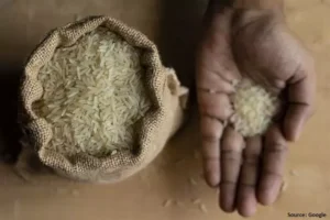 India Bans Rice Shipments to Curb Price Rises